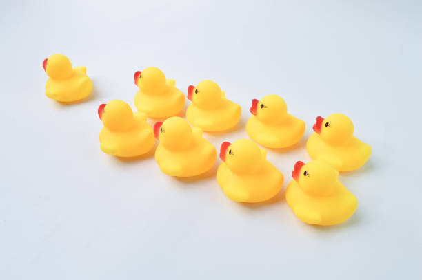 istock Group of toy ducks follow the leader. Teamwork and cooperation concept 1415040904