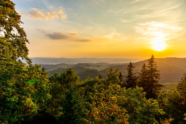 tour estivo alla scoperta della selva di turingia vicino a brotterode - thuringia foto e immagini stock