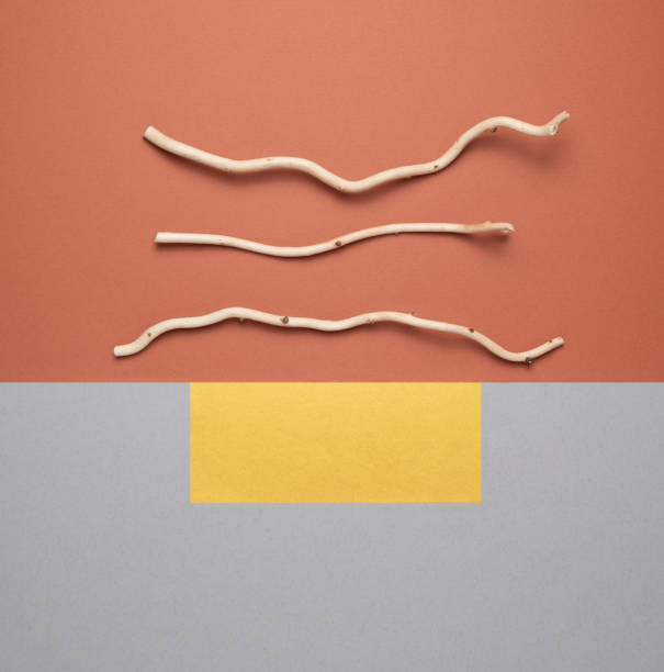 istock Minimal geometric layout with dry tree branches and earthy colors. 1415042870