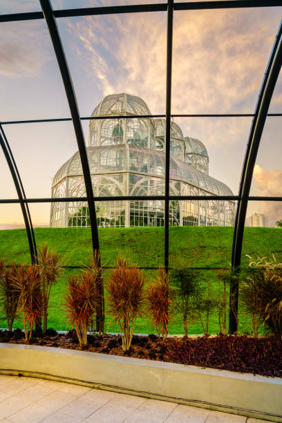 istock Botanical garden of Curitiba 1415043469