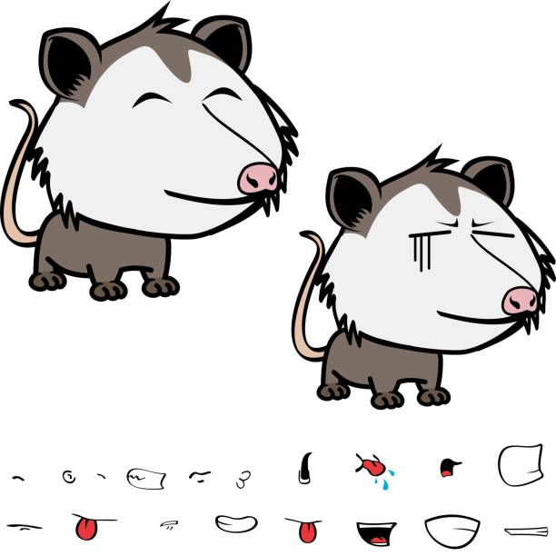 little possum character cartoon. kawaii expressions set little possum character cartoon. kawaii expressions set pack, vector format angry opossum stock illustrations