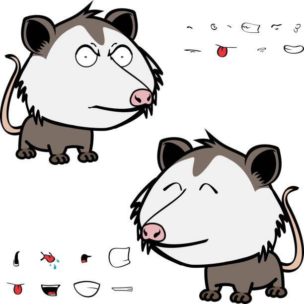 opossum character cartoon opossum character cartoon. kawaii expressions set pack, vector format angry opossum stock illustrations