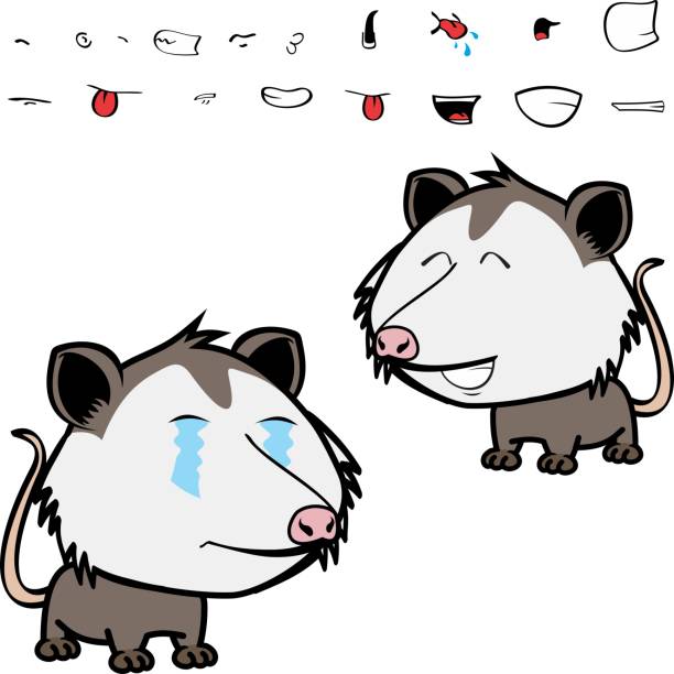 little opossum character cartoon. kawaii expressions set pack, vector format little possum character cartoon angry opossum stock illustrations