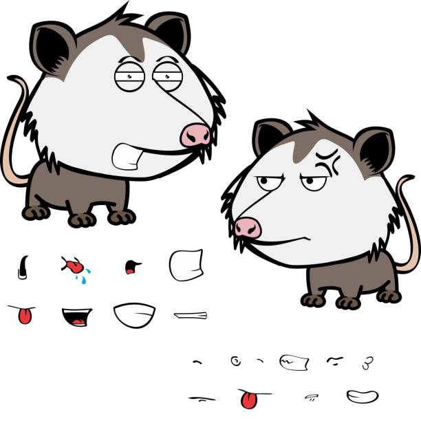 angry little opossum character cartoon. kawaii expressions set pack, vector format angry little opossum character cartoon angry opossum stock illustrations