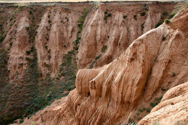 ravine formed by soil erosion by wind and water. High quality photo
