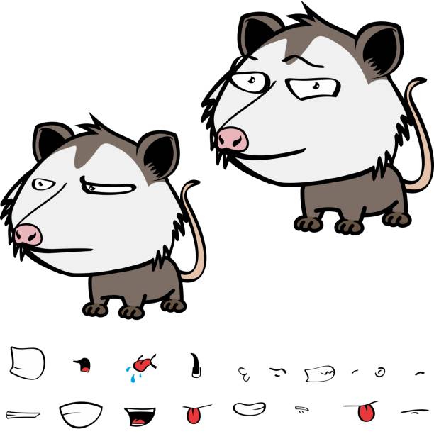 grumpy little opossum character cartoon grumpy little opossum character cartoon. kawaii expressions set pack, vector format angry opossum stock illustrations