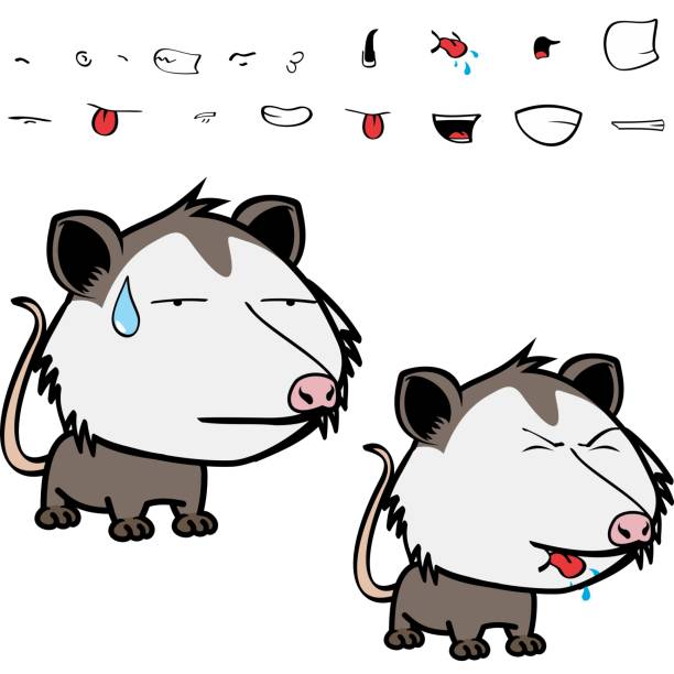 funny little opossum character cartoon funny little opossum character cartoon. kawaii expressions set pack, vector format angry opossum stock illustrations