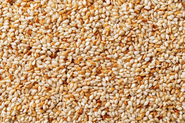 Roasted sesame seeds macro background. Texture of toasted Sesamum indicum closeup. Organic benne seeds as asian cuisine ingredient. White til as calcium source for healthy food concept. stock photo