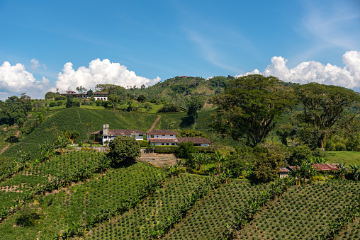 Farm on top of a mountain with crops around it in a Colombian country landscape.