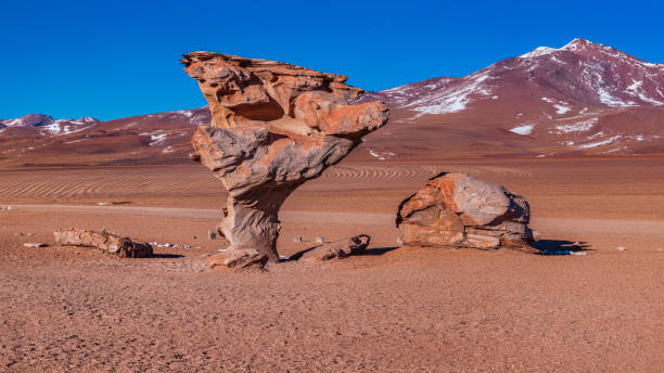 56MPix XXXXL size - this panoramic landscape is an very high resolution multi-frame composite and is suitable for large scale printing. The Altiplano (Spanish for high plain), in west-central South America, where the Andes are at their widest, is the most extensive area of high plateau on earth outside of Tibet.