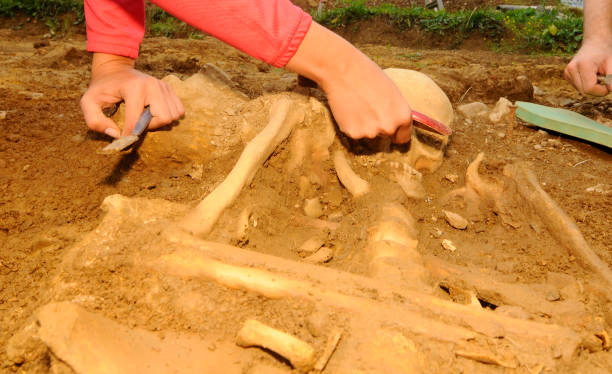 istock archaeology at the cemetery or burial ground 1415053183