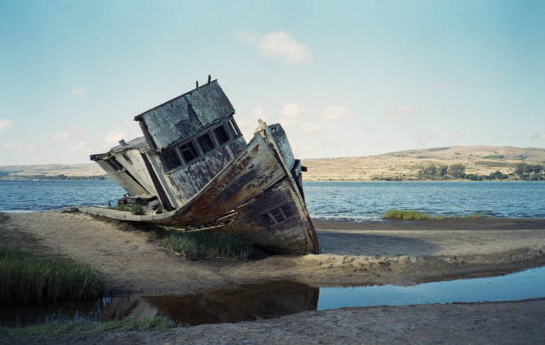 Point Reyes Shipwreck stock photo