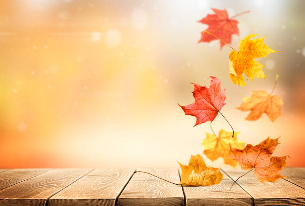istock falling autumn maple leaves on wooden table 1415055570