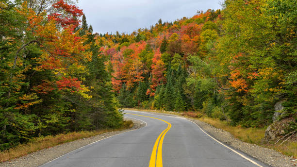 Winding Autumn Road - A wide-angle view of Highway Route 17, part of Rangeley Lake Scenic Byway, winding through a colorful dense mountain forest on a cloudy Autumn morning. West Maine, USA. stock photo