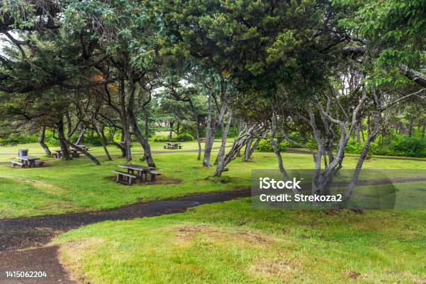 Public Park Area With Picnic Tables Stock Photo - Download Image Now - Color Image, Green Color, Hiking