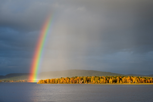 Rainbow over the autumn landscape, dramatic sky and light, forest trees in autumn colors. Lapland, Finland.