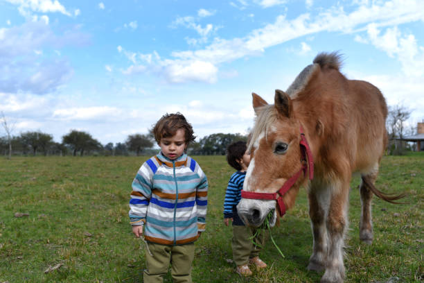 Children playing with horses in the field
