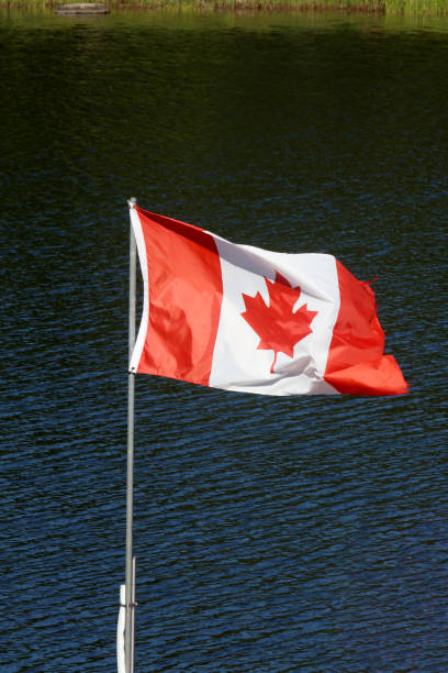 istock Canadian Flag flapping in the wind 1415067076