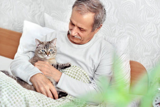 istock Senior man in bedroom holding tabby cat in hands 1415067157