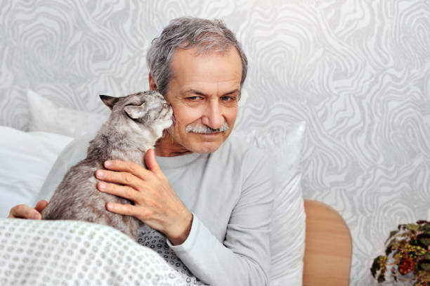 Tabby cat licking senior man s cheek