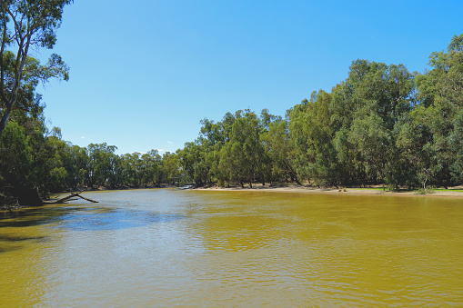 Cruising the mighty Murray River in the Mallee Country