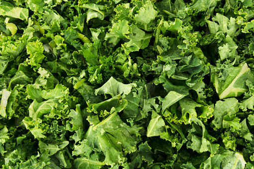 Green Leafy Kale Vegetable Background