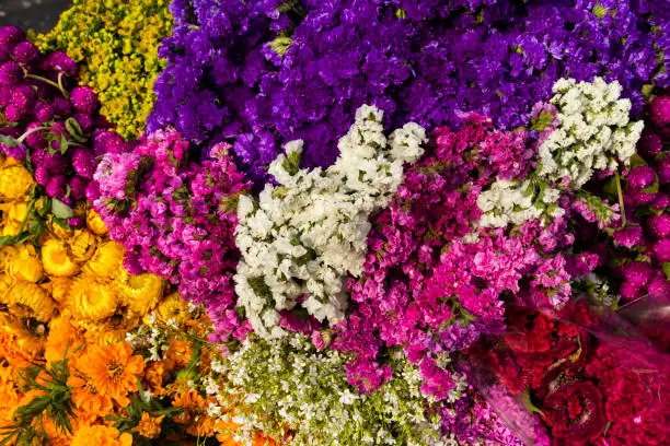 Photo of Silleteros parade, flower fair in the city of Medellin - Colombia