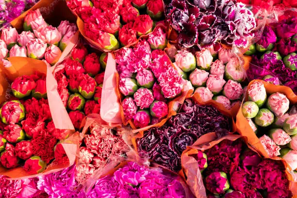 Photo of Colorful and exotic Colombian flowers in the market square