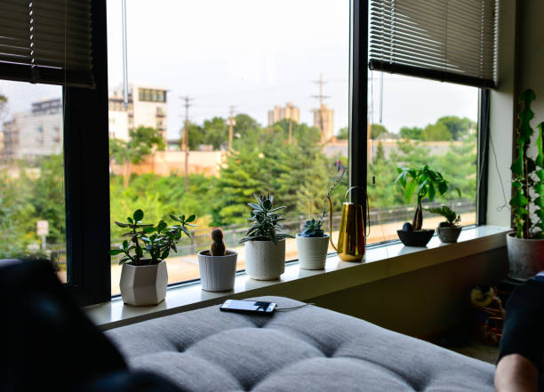 City Living Window Sill with Plants
