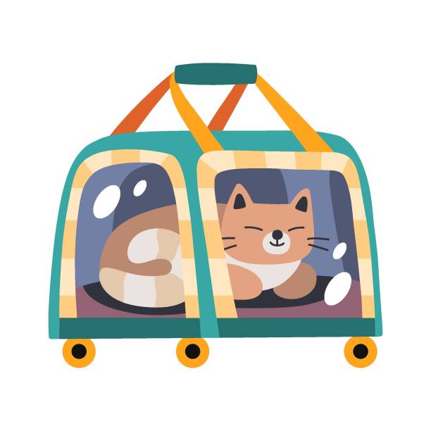애완 동물 마차에있는 귀여운 고양이. 동물과 함께 여행하기 - facebook store label window stock illustrations