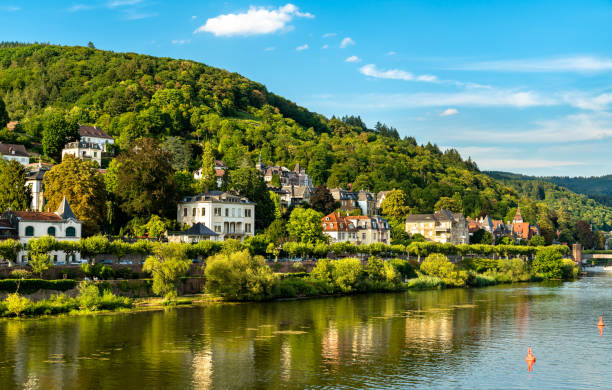 istock The Neckar river in Heidelberg, Germany 1415078762