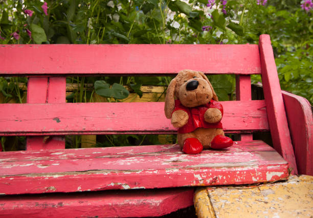 Soft dog toy thrown on the bench.