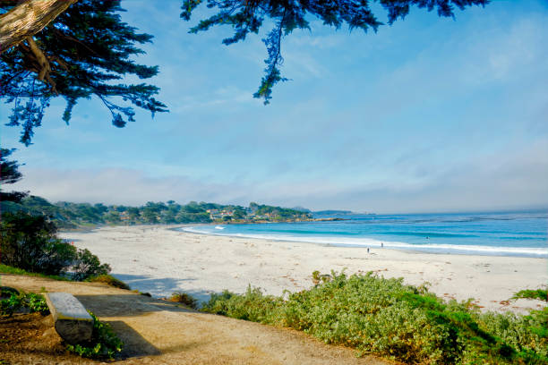 istock Beach Scene in Morning-Carmel,  California 1415089124