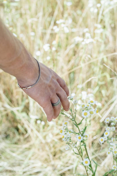 istock Woman's hand reaches for blossoms in a field 1415093542