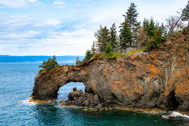 istock Sea Arch in Kachemak Bay 1415096866