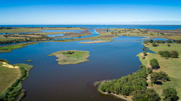 istock Slaughterhouse Creek overflow on Tambo Bay 1415099947