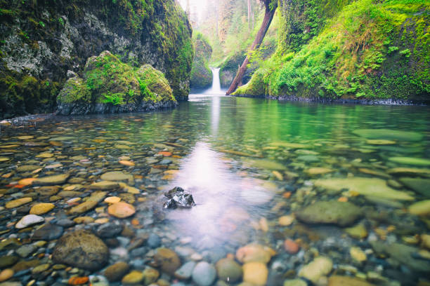 istock The Eagle Creek, Punch Bowl Falls 1415100561