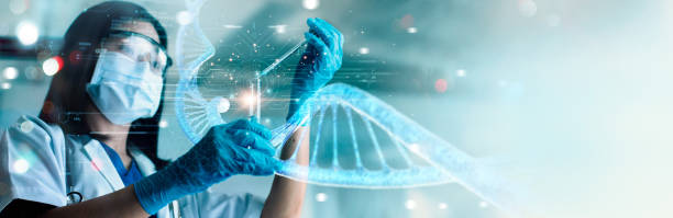 istock Scientists are experimenting and research with molecule model, DNA, Human Biology, Genetic research, Science with molecules and atoms in the laboratory, Medical science and biotechnology. 1415100993