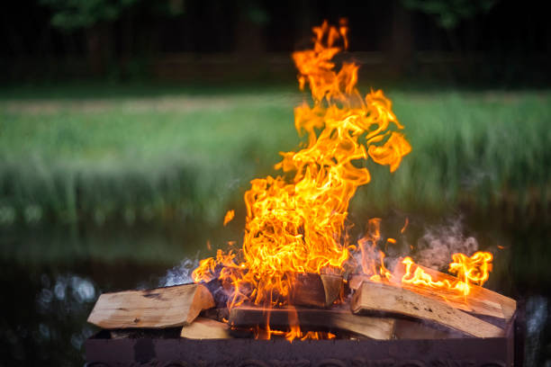 Flame of fire. Bonfire in nature Flame of fire. Bonfire in nature bonfire isolated stock pictures, royalty-free photos & images