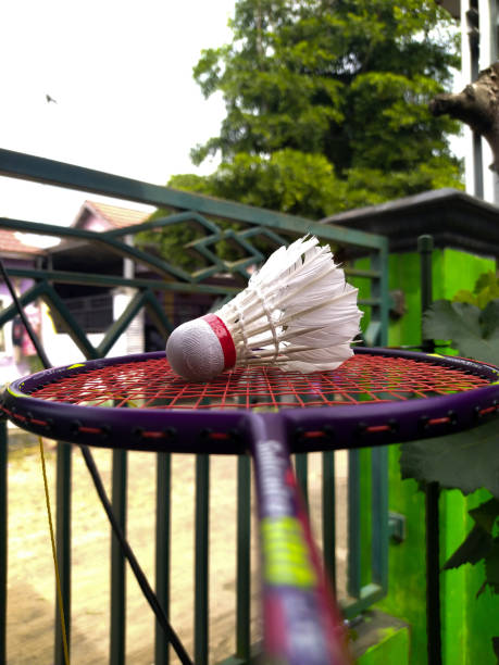 istock Used shuttlecock with badminton racket on nature background 1415113106