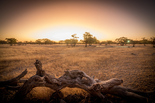 Sunset at Etosha National Park in Kunene Region, Namibia