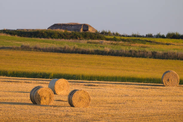 istock Straw bales near Cap Gris Nez sunset 1415122937