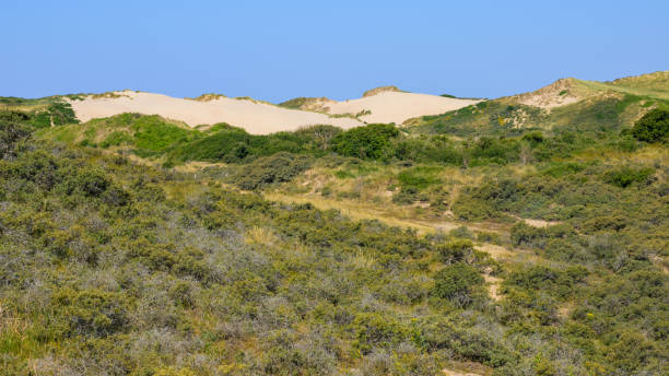 istock Dunes De La Slack on a sunny day in summer 1415123024