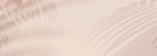 istock abstract background in light colors with a shadow of tropical leaves 1415123733
