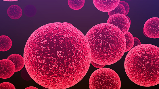 Streptococcus bacteria. Streptococcus species are responsible for pharyngitis, meningitis, bacterial pneumonia, endocarditis and necrotizing fasciitis.