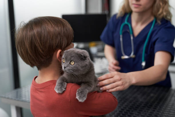 istock Small boy with cat has a visit to veterinarian doctor 1415124772