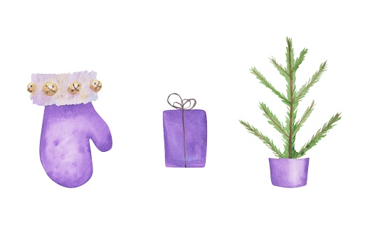 Christmas tree, purple mitten, and a gift box isolated on a white background. Watercolor fluffy mitten with golden jingle bells. Hand-drawn Christmas undecorated tree. Noel decor.