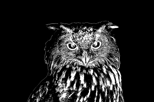 Outline of an owl against a black background. European eagle owl.