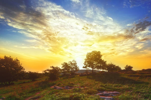 Rising sun in the nature