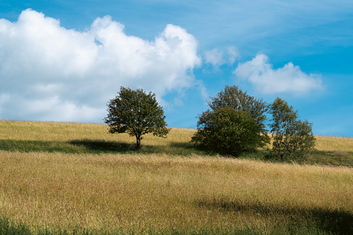 Landscape at Schomberg in Sauerland. Nature with trees and meadows near Sundern on the Lennegebirge.